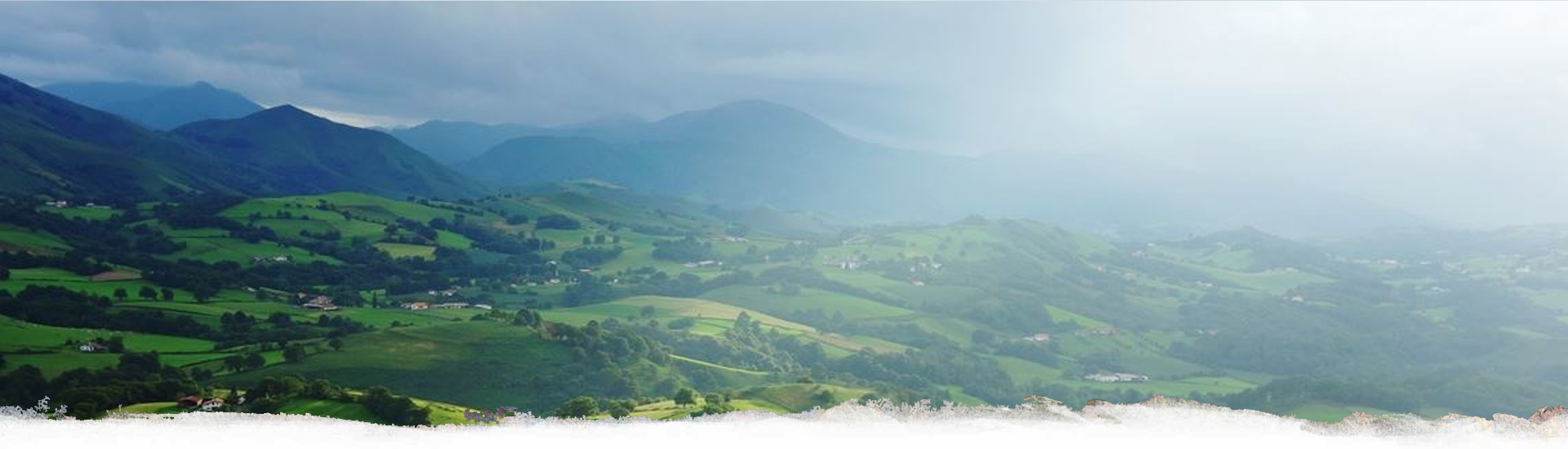 &nbsp;